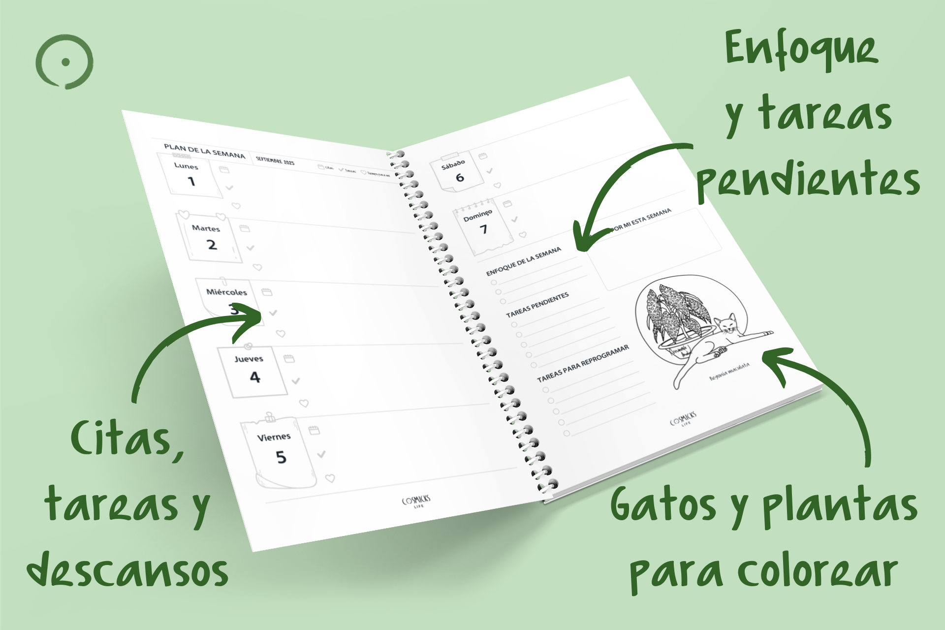 Agenda Semana