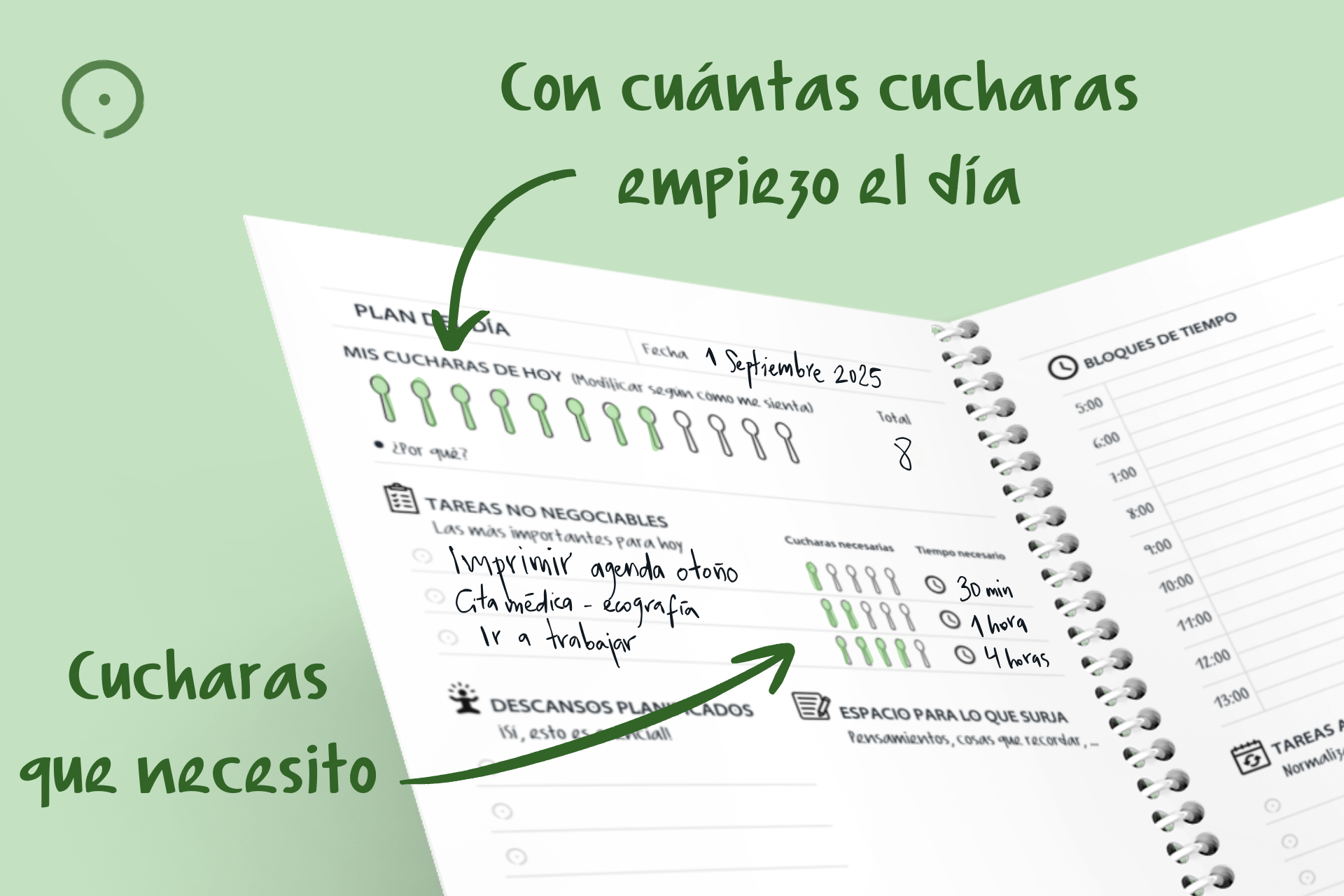 Cucharas que necesito (3)