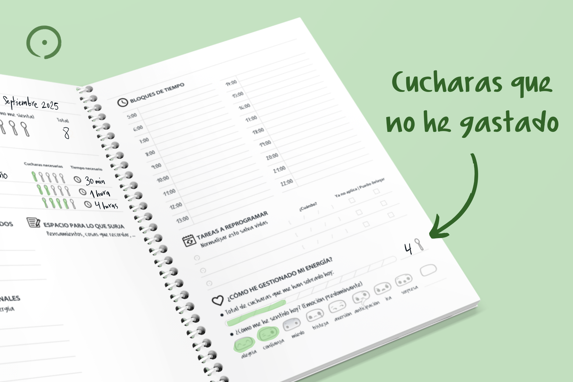 Cucharas que necesito (4)