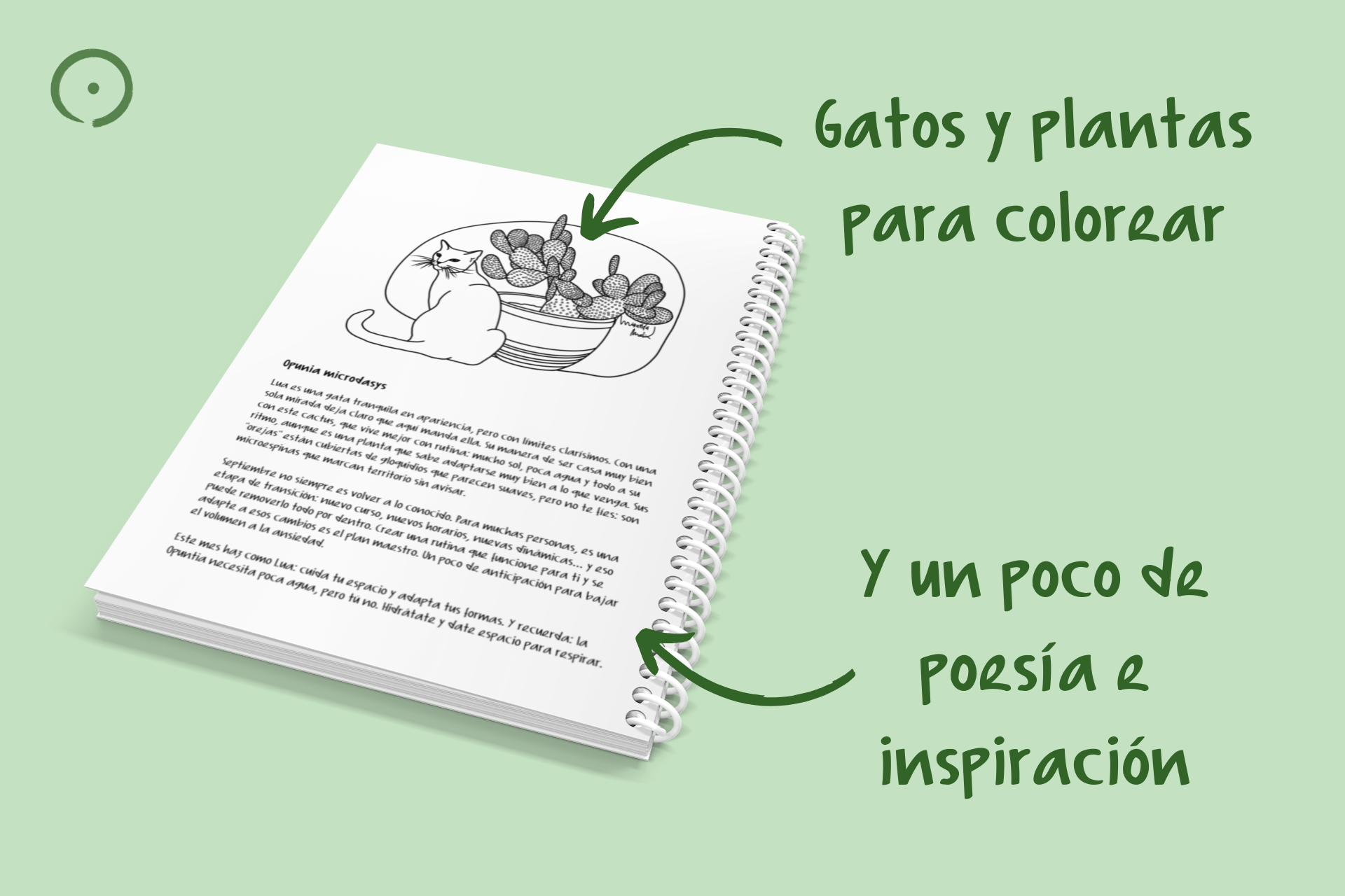 Ilustraciones Mensuales